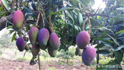 四川未來最&ldquo;吃香&rdquo;的城市,成都、綿陽落榜,這個城市眾望所歸