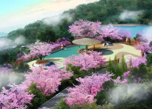 夢想著有一面花墻 花廊 來攀枝花吧,款款都讓你沉醉