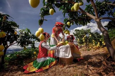 帶著陽光、帶著果香,帶著&ldquo;康養(yǎng)+&rdquo;,北京!東區(qū)來了&middot;&middot;&middot;&middot;&middot;&middot;_財(cái)經(jīng)_網(wǎng)