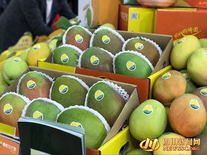 四川農(nóng)產(chǎn)品 c位 出道 攀枝花芒果郫縣豆瓣等抱團亮相第十六屆國際農(nóng)交會