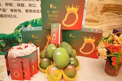 攀枝花再加碼，著力推進(jìn)“九個一”行動，助力“攀果”產(chǎn)業(yè)升級