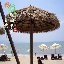 攀枝花仿真茅草與塑料茅草瓦廠家價(jià)格及型號(hào)規(guī)格詳解