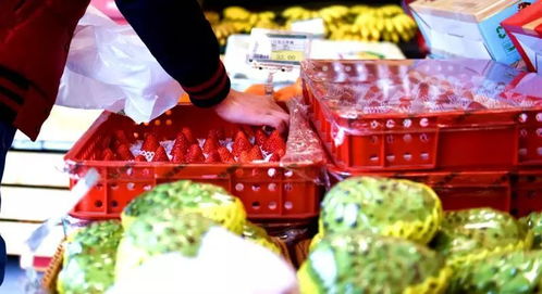 攀枝花水果 春節(jié)送禮新風(fēng)尚，外地市場(chǎng)受熱捧